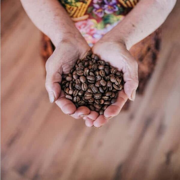 Dos manos juntas sosteniendo un puñado de café en grano.